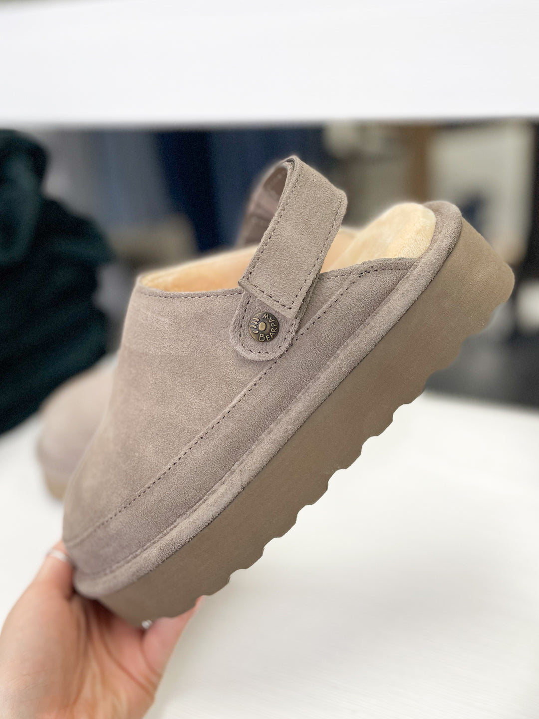 Graham Platform Slides (Morel)