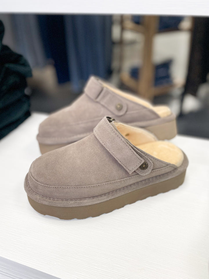 Graham Platform Slides (Morel)