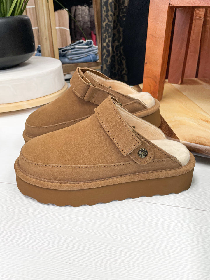 Graham Platform Slides (Hickory)